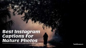 【330+】 Best Instagram Captions For Nature Photos (2022)
