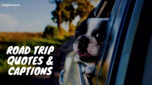 130+ Awesome Road Trip Quotes & Captions For Instagram (2022)