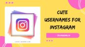 350+ Best Cute Usernames For Instagram Ideas In (2024) – TechGrama