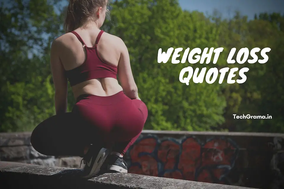 Best weight loss captions, Weight Loss Quotes, Funny Weight Loss Captions, Weight Loss Captions For Instagram, Weight Loss Transformation Quotes, Caption For Weight Loss, Weight Loss Instagram Captions, Funny Weight Loss Quotes, and Body Transformation Captions For Instagram.