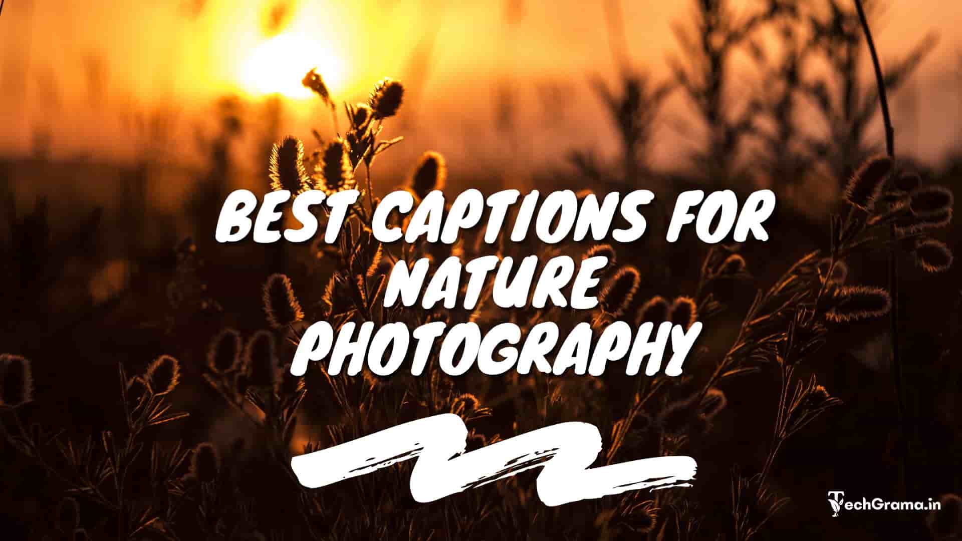 Best Captions For Nature Photography, Quotes About Nature Photography, Captions For Nature Photos On Instagram, One Word Caption For Nature Photography, Instagram Captions For Nature Photography, Short Nature Captions For Instagram, Nature Photography Captions For Instagram.